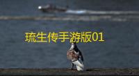 琉生传手游版01